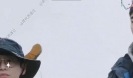 电视节目吃瓜视频大全集,揭秘娱乐圈幕后故事