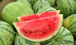 今天的吃瓜视频,揭秘娱乐圈最新热点事件