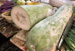 宁波女子吃隔夜瓜视频