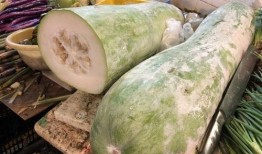 宁波女子吃隔夜瓜视频