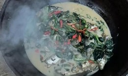 午餐吃瓜的视频,一场别开生面的视频盛宴