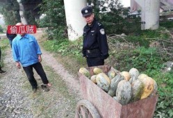 泗水县吃瓜事件真相视频,真相视频曝光背后的真相