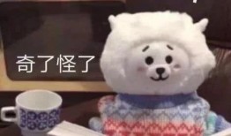 熊二搞笑头像吃瓜视频