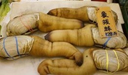 群众寻味吃瓜视频,揭秘群众热爱的美食瞬间