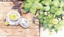 立夏吃瓜群众视频,跟随吃瓜群众探寻夏日美食之旅