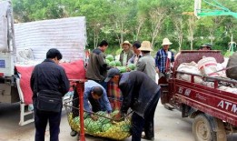 文县吃瓜群众事件视频,一场网络舆论的风暴与反思