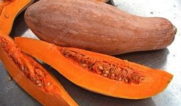 楠瓜有点发霉可以吃吗视频,楠瓜发霉仍可食用？揭秘食品安全小常识