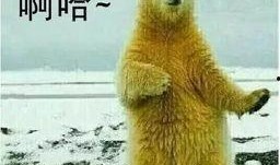 熊二搞笑头像吃瓜视频