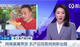 伊犁吃瓜新闻视频大全播放,趣味横生的本地新闻集锦