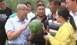 吃瓜群众王小琳视频,揭秘娱乐圈幕后故事