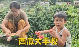 一家人吃瓜的视频,共享夏日吃瓜时光