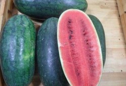 山东网红吃瓜真实的视频,趣味横生一幕幕