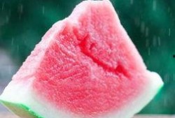 夏至吃瓜群众视频播放