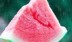 夏至吃瓜群众视频播放