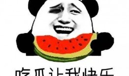 吃瓜群众听天由命视频,听天由命下的社会百态