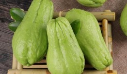 佛手瓜怎么吃最好吃视频讲解,视频讲解教你如何烹饪最佳口感