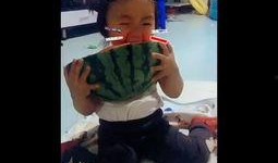 带你吃瓜搞笑鸭子视频在线观看,欢乐视频在线观看