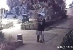 龙洞吃瓜事件视频大全播放,视频大全带你回顾全网热议瞬间