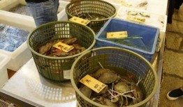 群众寻味吃瓜视频,揭秘群众热爱的美食瞬间