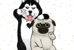 吃瓜狗头君拜年视频