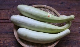 吃瓜视频在哪里买,吃瓜视频，如何轻松购买热门内容