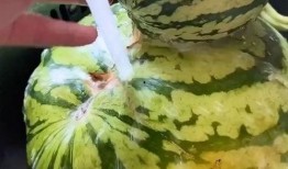 吃瓜吃到头上的搞笑视频,笑到肚子疼的搞笑瞬间