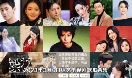 电视节目吃瓜视频大全集,揭秘娱乐圈幕后故事