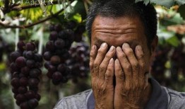 农民爷爷吃瓜视频,欢乐瞬间引网友热议