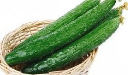 烧瓜烂了可吃吗视频讲解,烧瓜烂了还能吃吗？专家视频揭秘食品安全真相