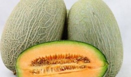 海南吃哈密瓜视频大全集,视频大全集带你领略甜蜜诱惑