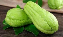 佛手瓜怎么吃最好吃视频讲解,视频讲解教你如何烹饪最佳口感