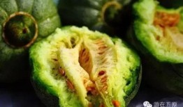 抚州吃瓜事情真相视频,揭秘真相背后的惊人内幕