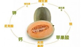 海南吃哈密瓜视频大全集,视频大全集带你领略甜蜜诱惑