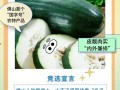 佛山吃瓜视频,揭秘当地美食文化盛宴