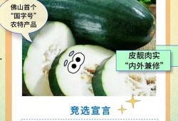 佛山吃瓜视频,揭秘当地美食文化盛宴