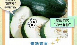 佛山吃瓜视频,揭秘当地美食文化盛宴