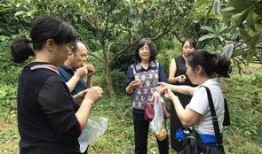 一个吃瓜游客的故事视频