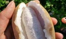 仁怀吃瓜事件视频曝光最新