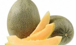 大羚羊吃哈密瓜视频,哈密瓜盛宴现场直击