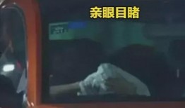 东港吃瓜事件真相视频,揭秘真相背后的惊人内幕