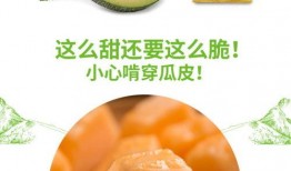 蜜瓜能不能榨汁吃呢视频,美味与营养的双重享受