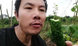 小六吃瓜视频回放,揭秘娱乐圈幕后故事