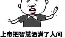 骂人吃瓜配音搞笑视频,揭秘热门骂人配音搞笑视频背后的趣味人生