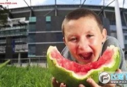 表情包男孩吃瓜视频在线观看,表情包引发网友热议