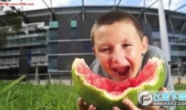 表情包男孩吃瓜视频在线观看,表情包引发网友热议