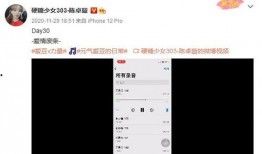 吃瓜真实声音视频下载,真实视频下载背后的趣味与真相