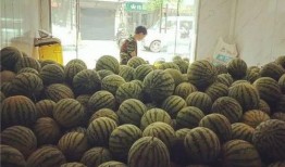 一家子的吃瓜群众视频,欢乐视频大揭秘