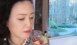 歌手网红吃瓜视频大全,娱乐圈幕后趣闻一网打尽