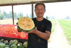 邹平最新吃瓜事件视频,视频揭秘惊人真相