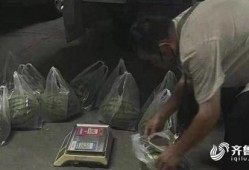 山东东营吃瓜事件视频,一场网络热议背后的真相揭秘